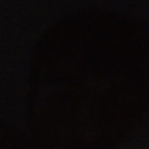 Meet your Posher, Hayden